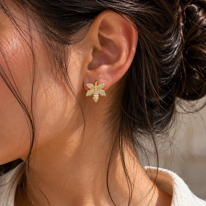Jardin Studs