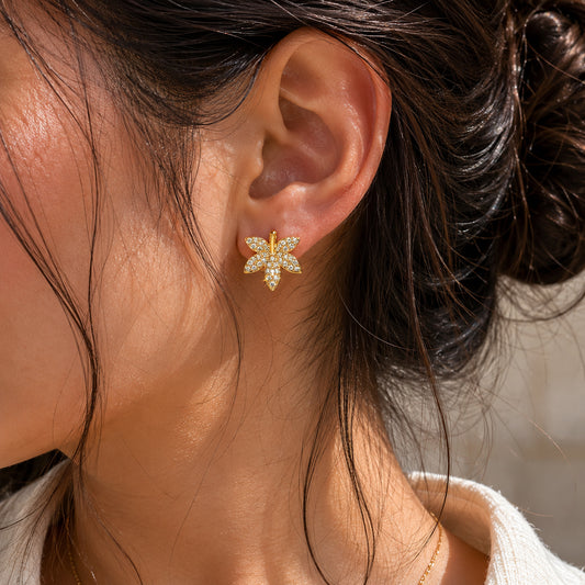 Jardin Studs